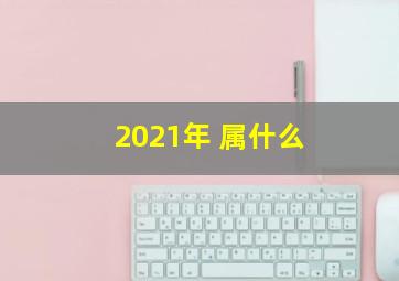 2021年 属什么